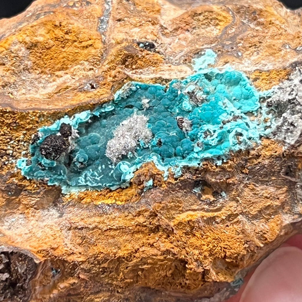 A sparkling cluster of hemimorphite crystals are growing near the center of this Rosasite formation from the Ojuela Mine in Mexico.. 