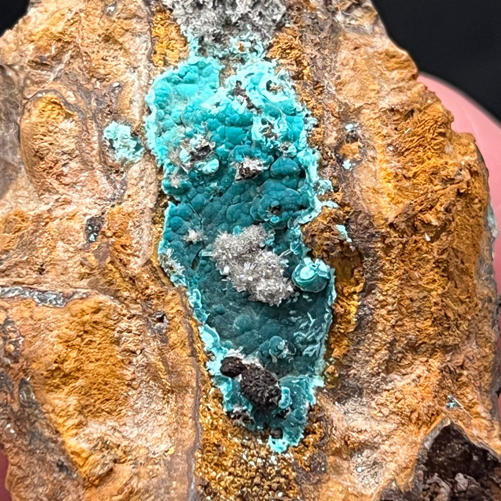 Here is another view of the terrific Rosasite exhibiting a beautiful blue, blue-green color and well placed, sparkling hemimorphite.