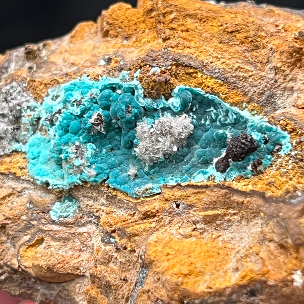 This is an excellent example of a rarer occurring mineral. Rosasite is a less common mineral that is found in the secondary oxidized zone of copper-zinc deposits.