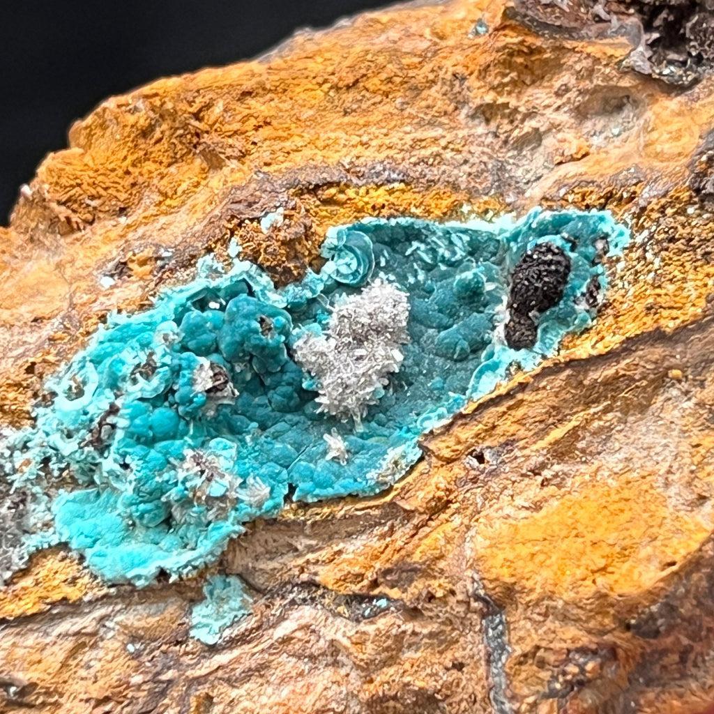 This specimen exhibiting the association of Rosasite with Hemimorphite is a fine collector piece. 