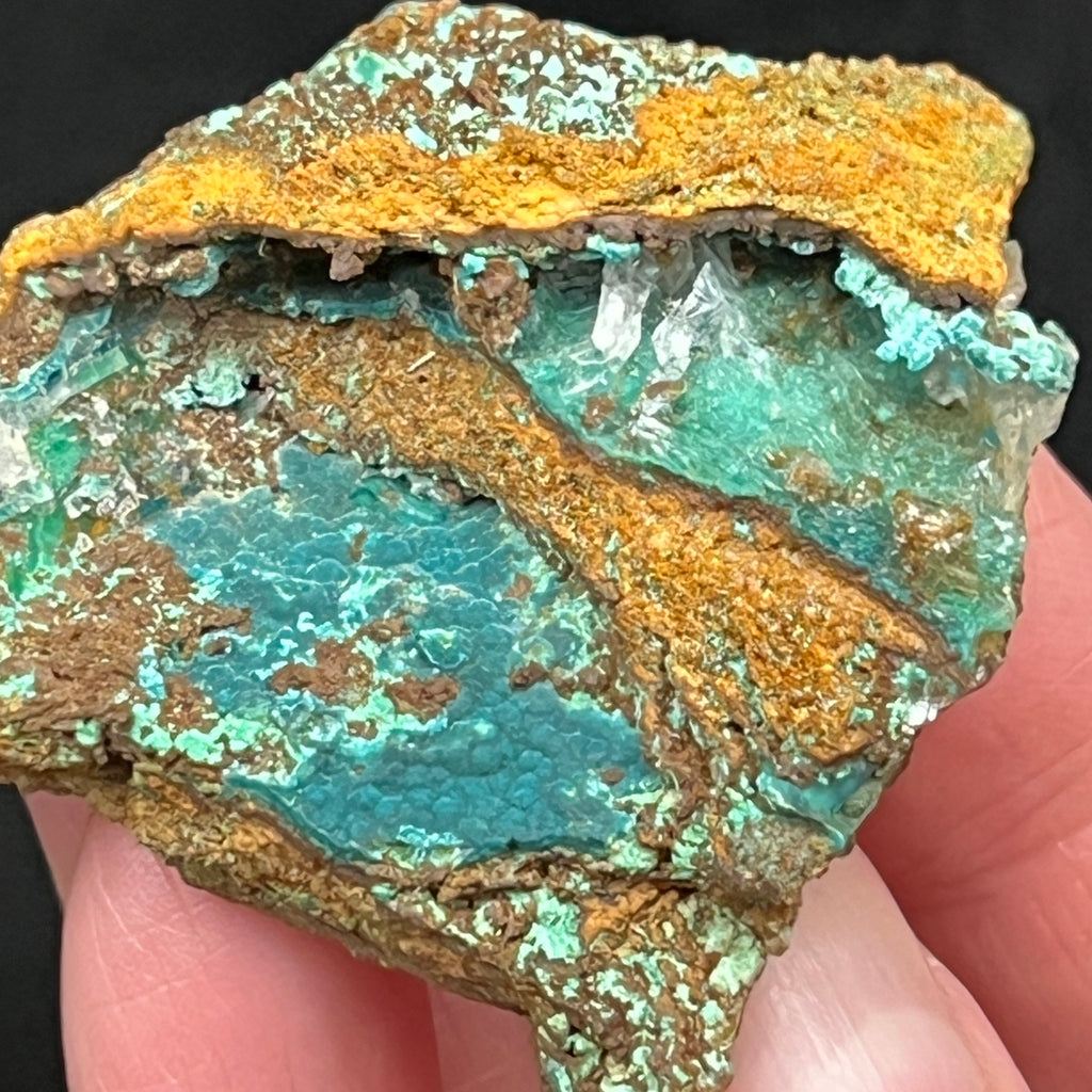 Here is a closer look at the exceptional botryoidal or mammillary Rosasite and Calcite exhibited on this  beautiful piece.