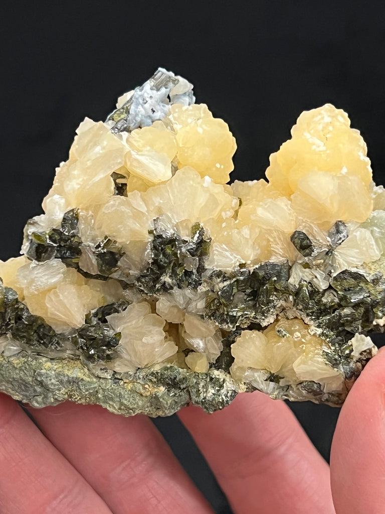 The fanning structure of the Stilbite can be clearly seen throughout this beautiful specimen! The source for this unusual yellow Stilbite and Epidote is Songounikoura, Diakon, Arrondissement of Diakon, Bafoulabe' Cercle, Kayes Region, Mali.