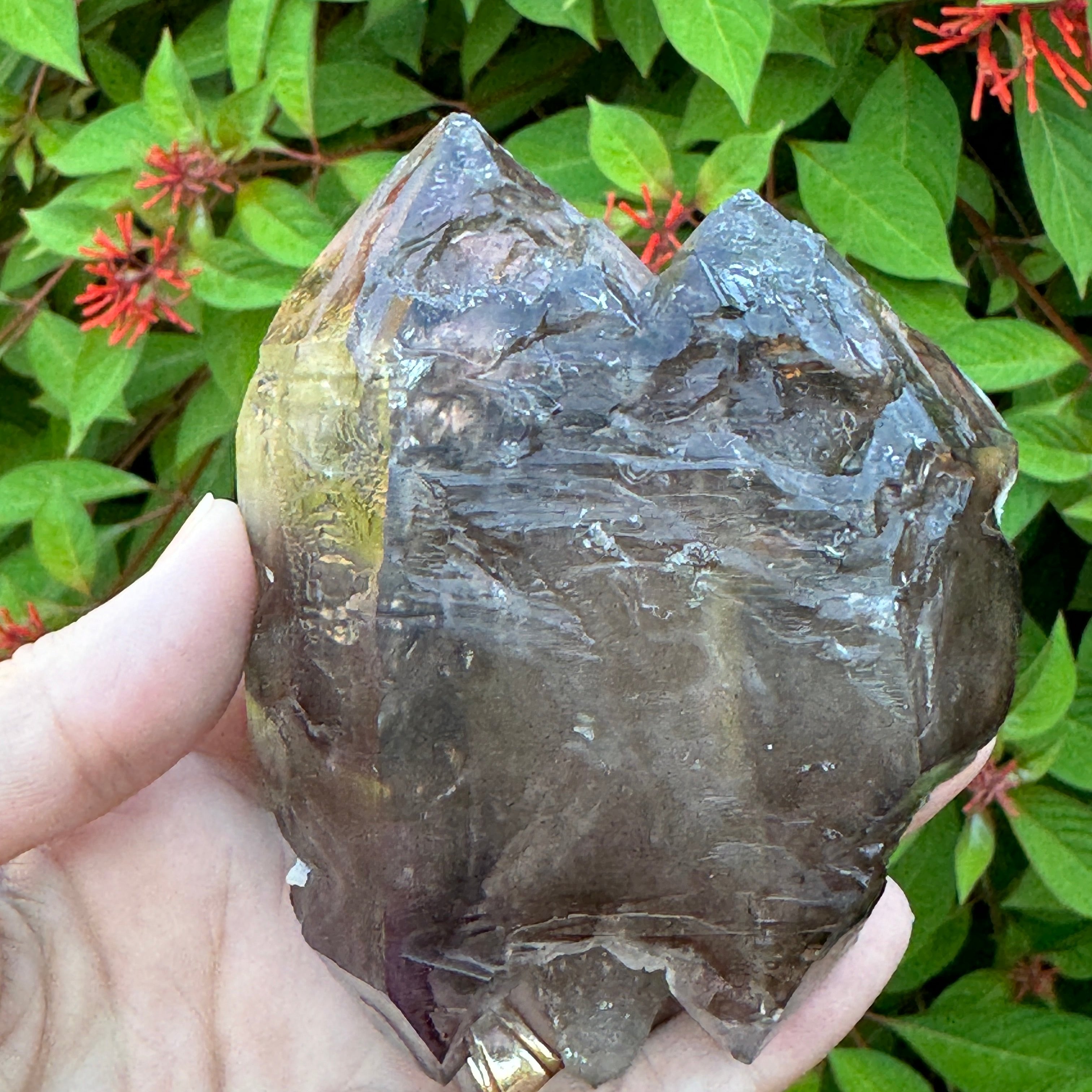 Large Amethyst Scepter shown in outdoor lighing.