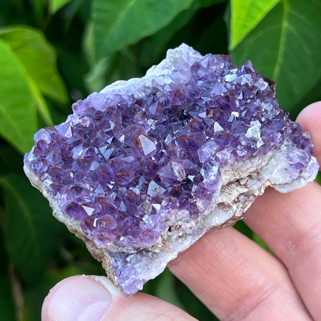 Amethyst from the Thunder Bay area in Canada exhibits an unique saturation of juicy purple color found at the mine locations on the northern side of Lake Superior. Sensational crystals like those in this quality mineral specimen present with super glassy faces.