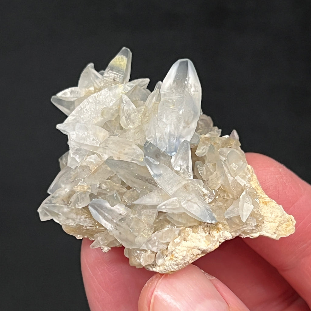 The availability and occurrence of collector quality crystals in Texas, including celestite like this one,  is considered nearly void, very scarce, so grab a rarity whenever you can!!