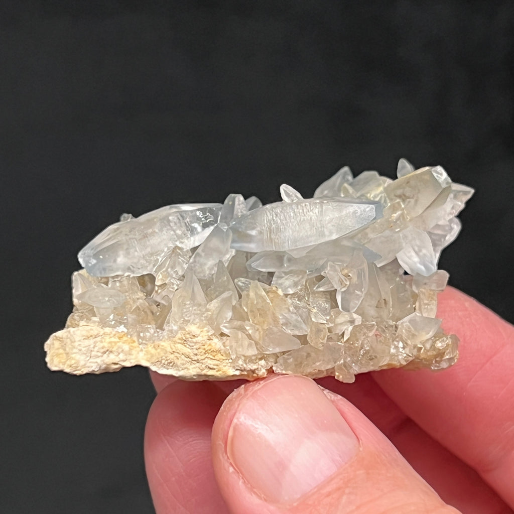 The location for this particular occurrence of Celestite is now closed. There was only a very small availability of time to extract the crystals due to the site being where a parking lot was being built near a community college that was undergoing expansion construction.