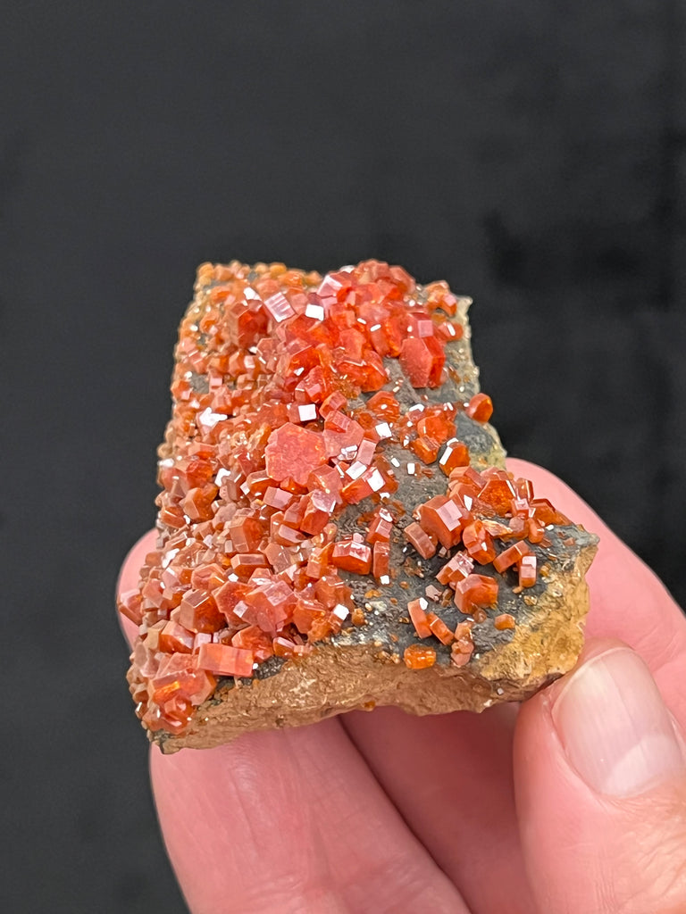 Sensational, gemmy, bright, red and red-orange Vanadinite crystals with fine formation are growing prolifically, scattered all over this specimen. The source for these excellent Vanadinite crystals is the Mibladen Mining District, Khenifra Province, Meknes-Tafilalet, Morocco.