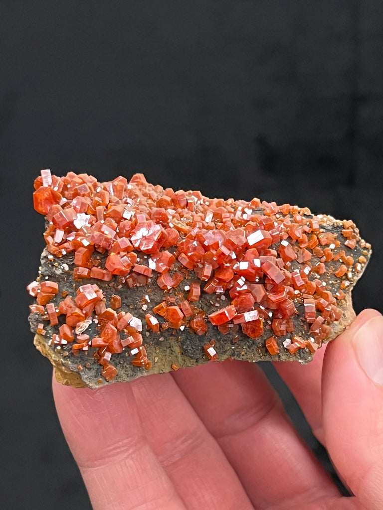 These well formed Vanadinite crystals present beautifully with the contrasting dark brown-grey, black looking natural Manganese coating as a backdrop they are perched on. The source for these excellent Vanadinite crystals is the Mibladen Mining District, Khenifra Province, Meknes-Tafilalet, Morocco.