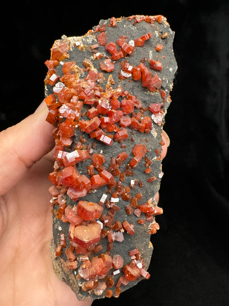 Gorgeous Vanadinite Crystal on Goethite. A beautiful sprinkling of well-defined cherry red Vanadinite Crystals make this a must have for Crystal, Mineral or Vanadinite collectors! Free Shipping, Click to buy!