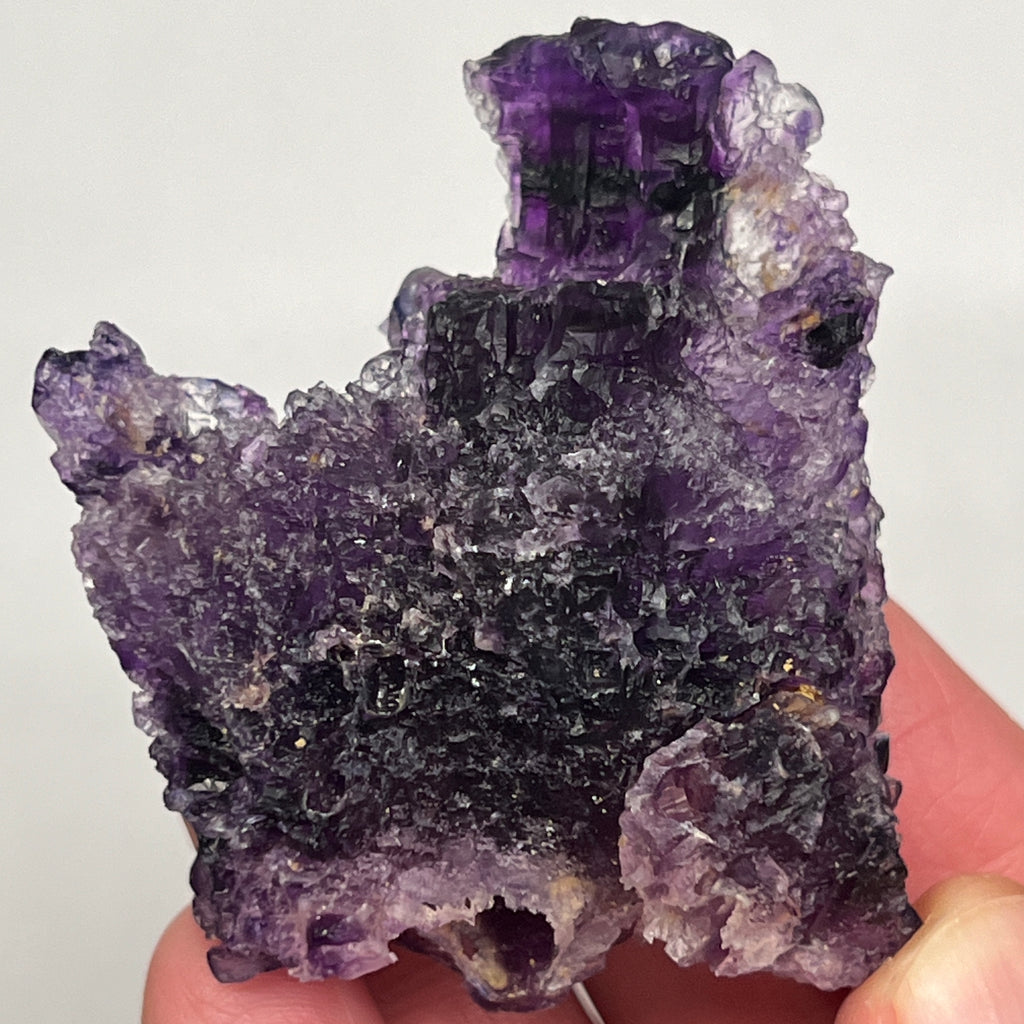 This is sensational, deep purple Fluorite, stepped, etched, and epimorphic from the Zogno Mine, Bergamo, Italy.