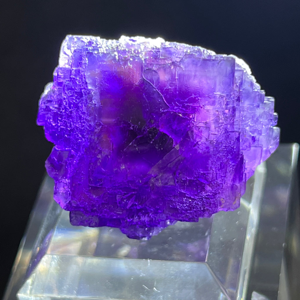 Here is a photo showing the piece backlit to highlight the color and definition of the zoning. Truly exceptional in this beautiful fluorite from the Zogno Mine in Italy.