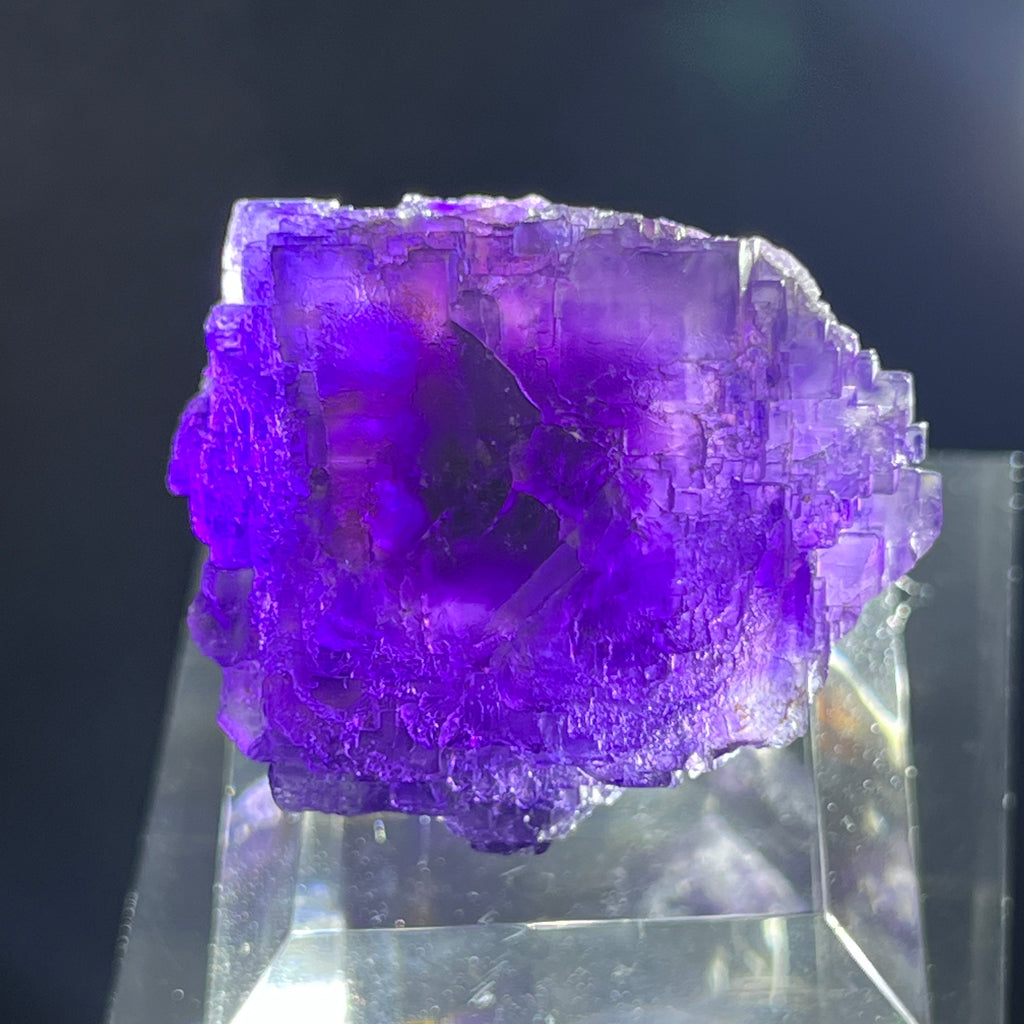 This fluorite from the Zogno Mine is so much better to behold in person!
