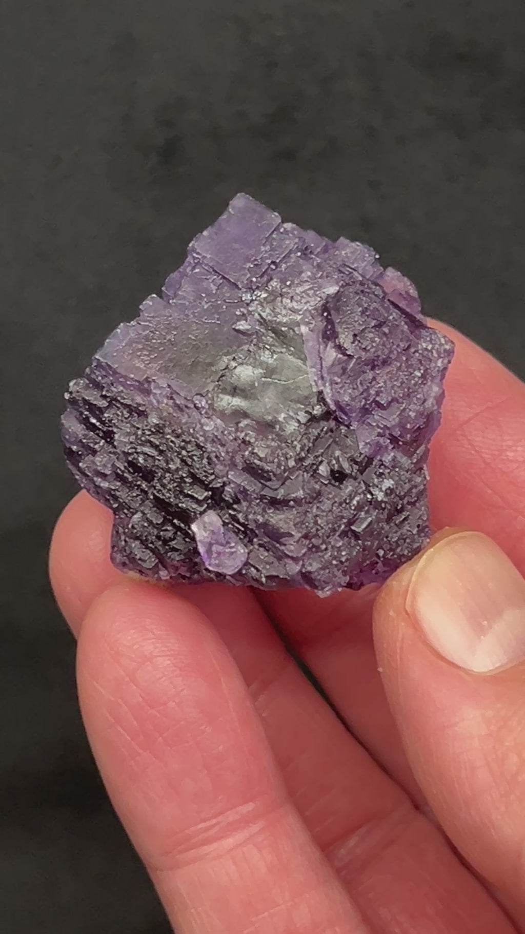 Here's the less common mineral to include in your collection or give as a gift to the fluorite enthusiast. Fascinating stepped and etched fluorite with excellent color from the Zogno Mine, Bergamo, Italy.