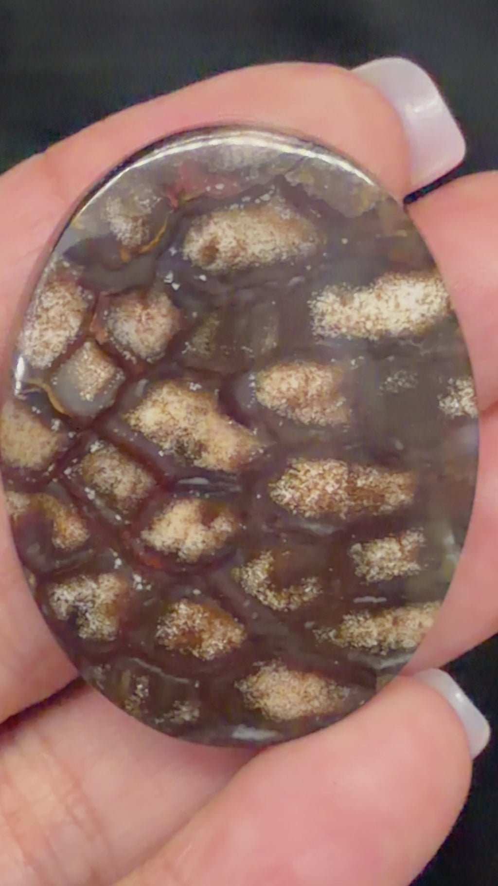 Fossilized Pine Cone Cabochon video
