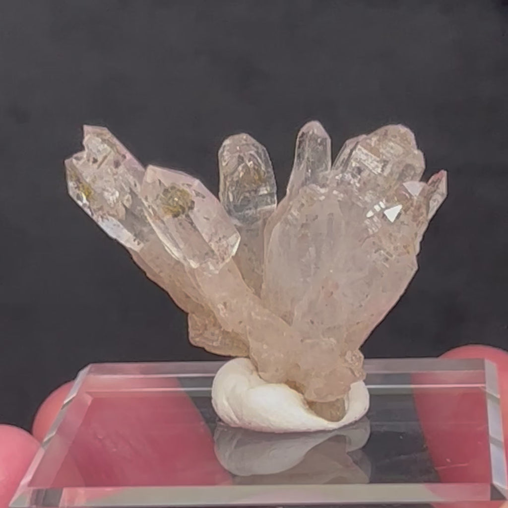 In addition to the petroleum in this fine example reacting excellently to UV light, there is scepter growth exhibited in two of the Quartz crystals.