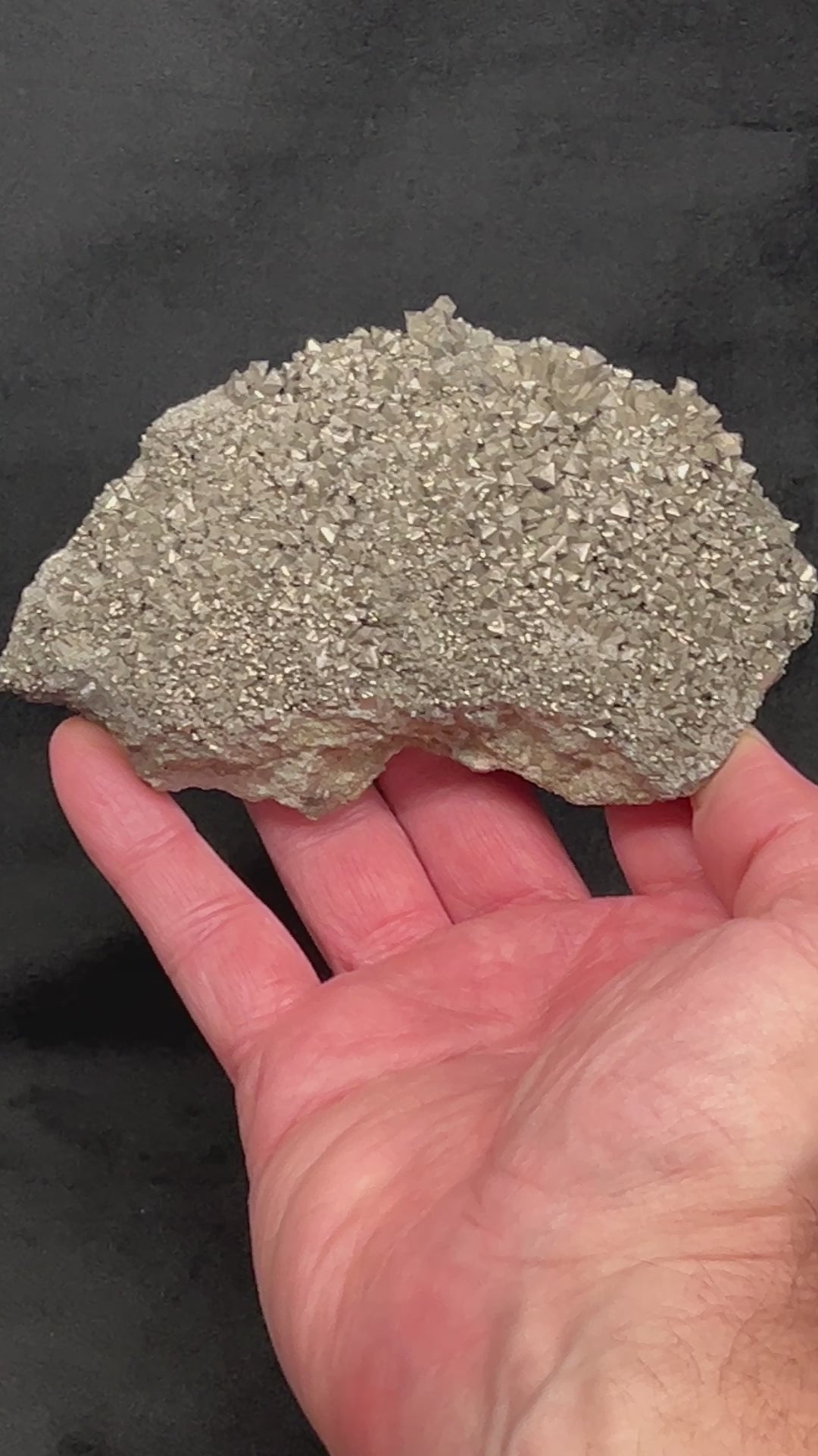 Particularly large, 5 inches, this Arsenopyrite plate presents with what looks like undulating terrain that is heavily crowded with triangular crystals.