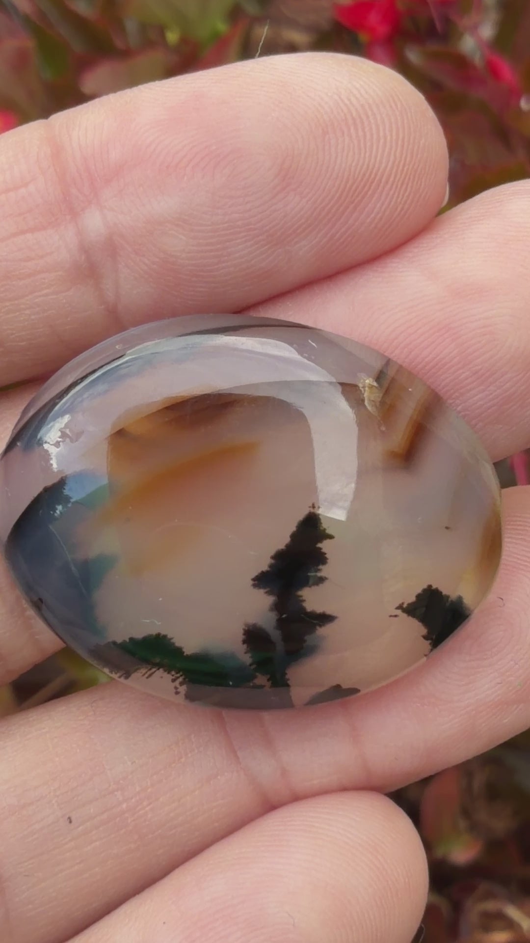 Video of Agate