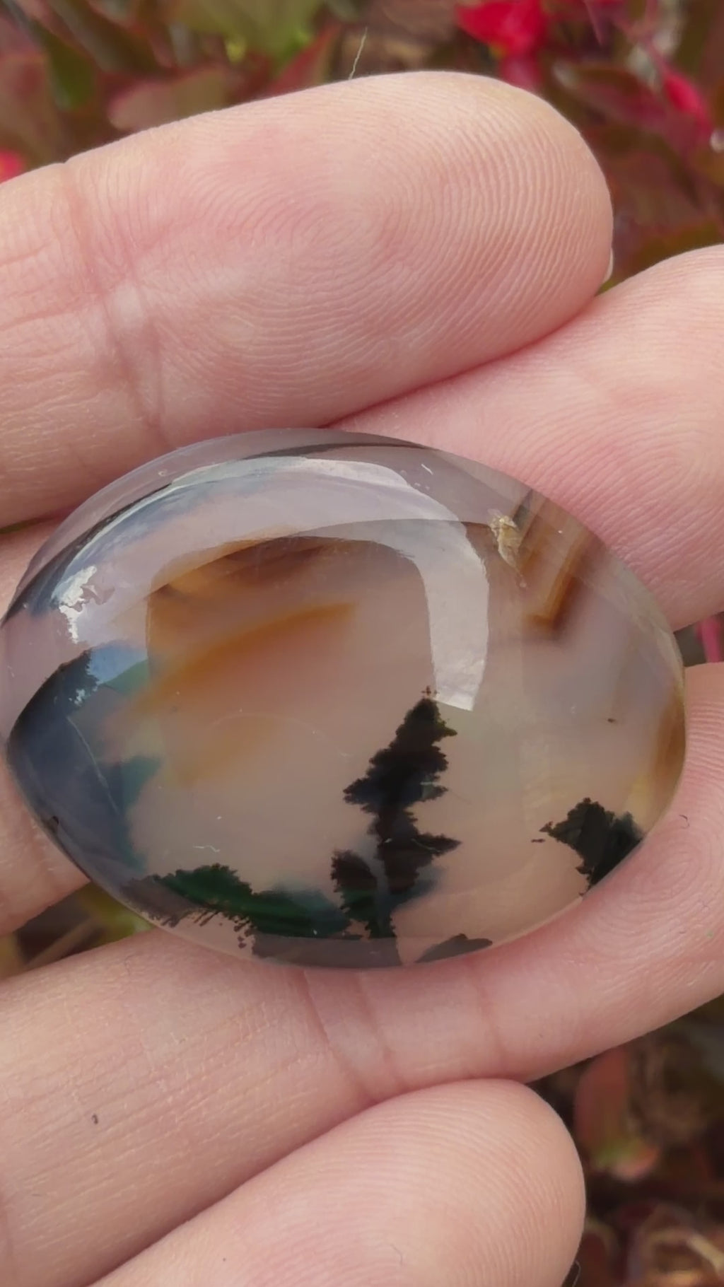 Video of Agate