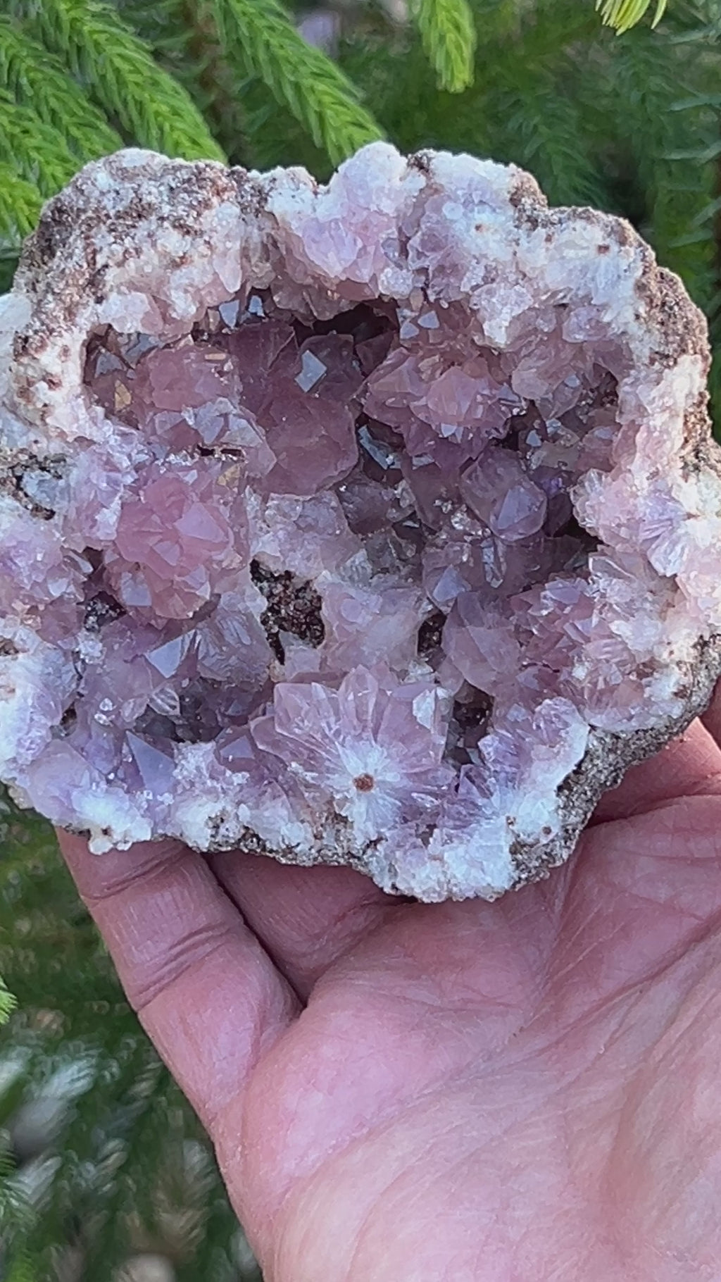 Pink Amethyst Geode with beautiful pink Crystals.