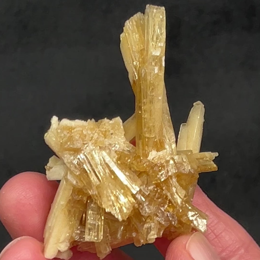 An extreme luster is evident on this fine Celestine, Barite and Sulphur piece from the Machow Mine in Poland.