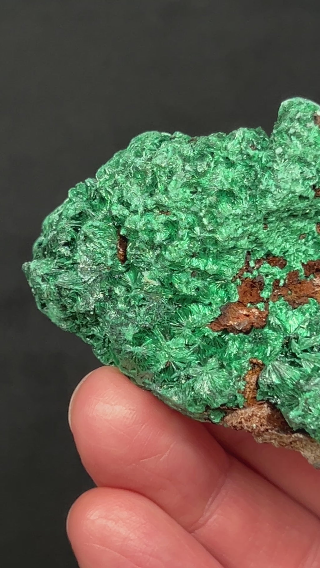  This gorgeous, very lustrous, shimmering Fibrous Malachite features sensational form and colors from green to predominantly dark, forest green.