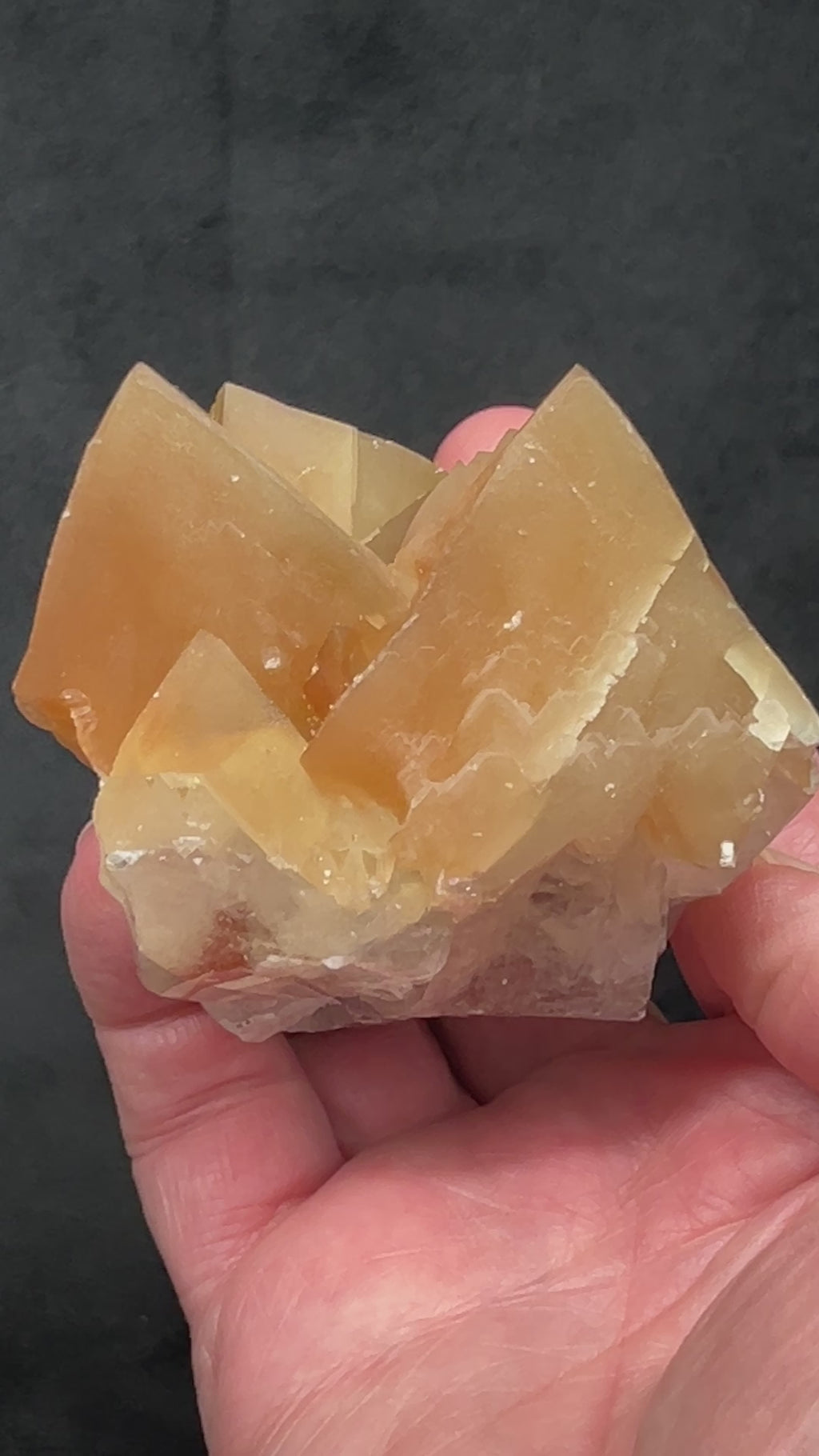 The orangish-brown to honey-caramel color and the terrific luster of these scalenohedral Calcite crystals from the Santa Eulalia District in Mexico are beautiful.