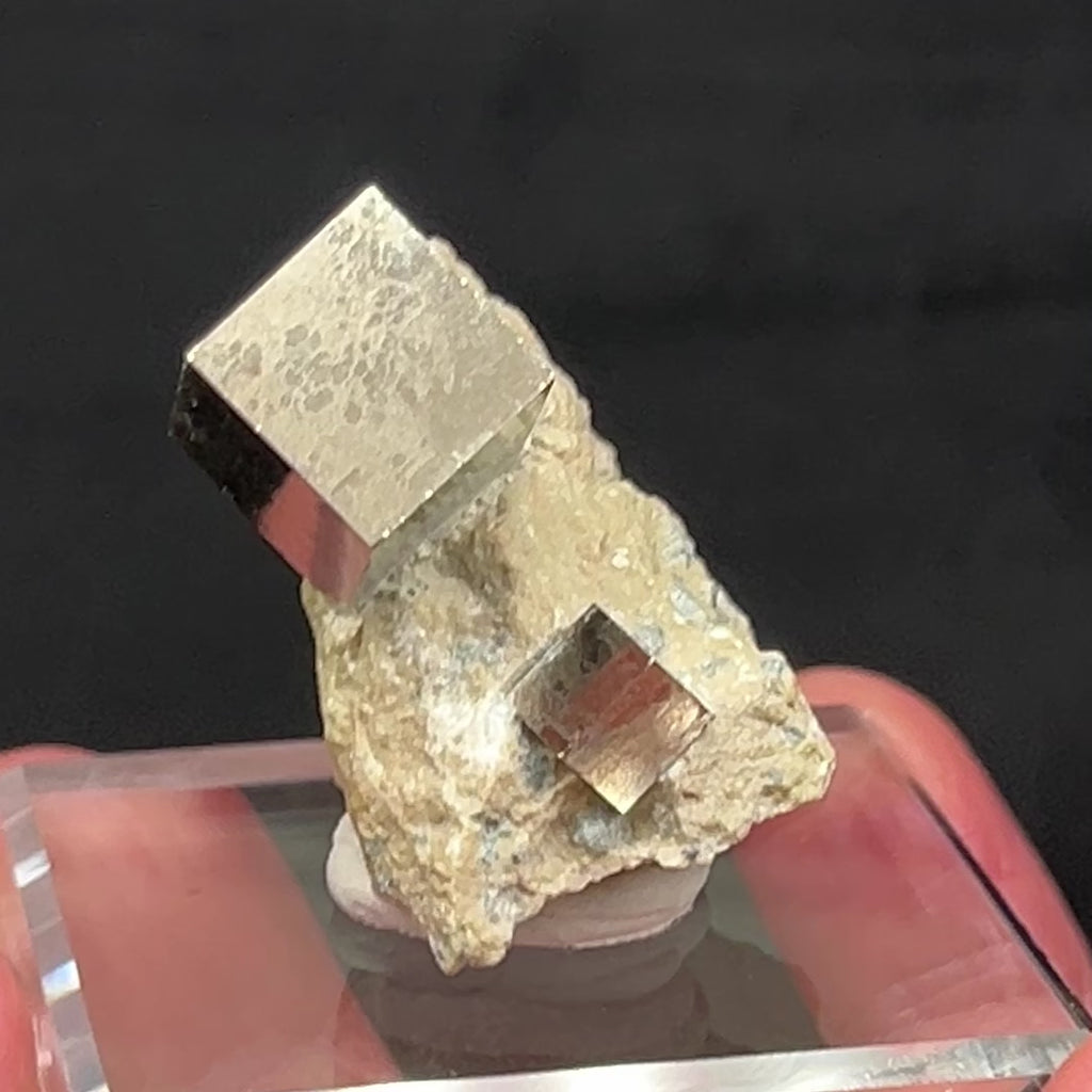 These are exceptionally formed Pyrite Cubes!  Named in antiquity from the Greek pyr for fire, because sparks flew from it when struck with another mineral or metal.