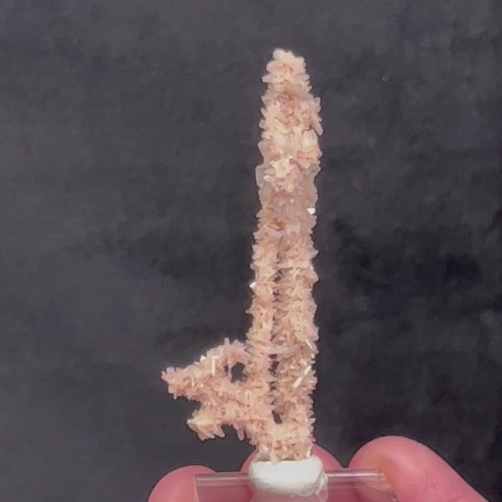 The rhombic, wedge shaped Heulandite and slender, tabular Stilbite are vitreous and present with a beautiful, pearly luster. The source for this surprising and exceptional Heulandite and Stilbite Stalactite formation is Sakur, the Ahmednagar District, Nashik Division, Maharashtra, India.  