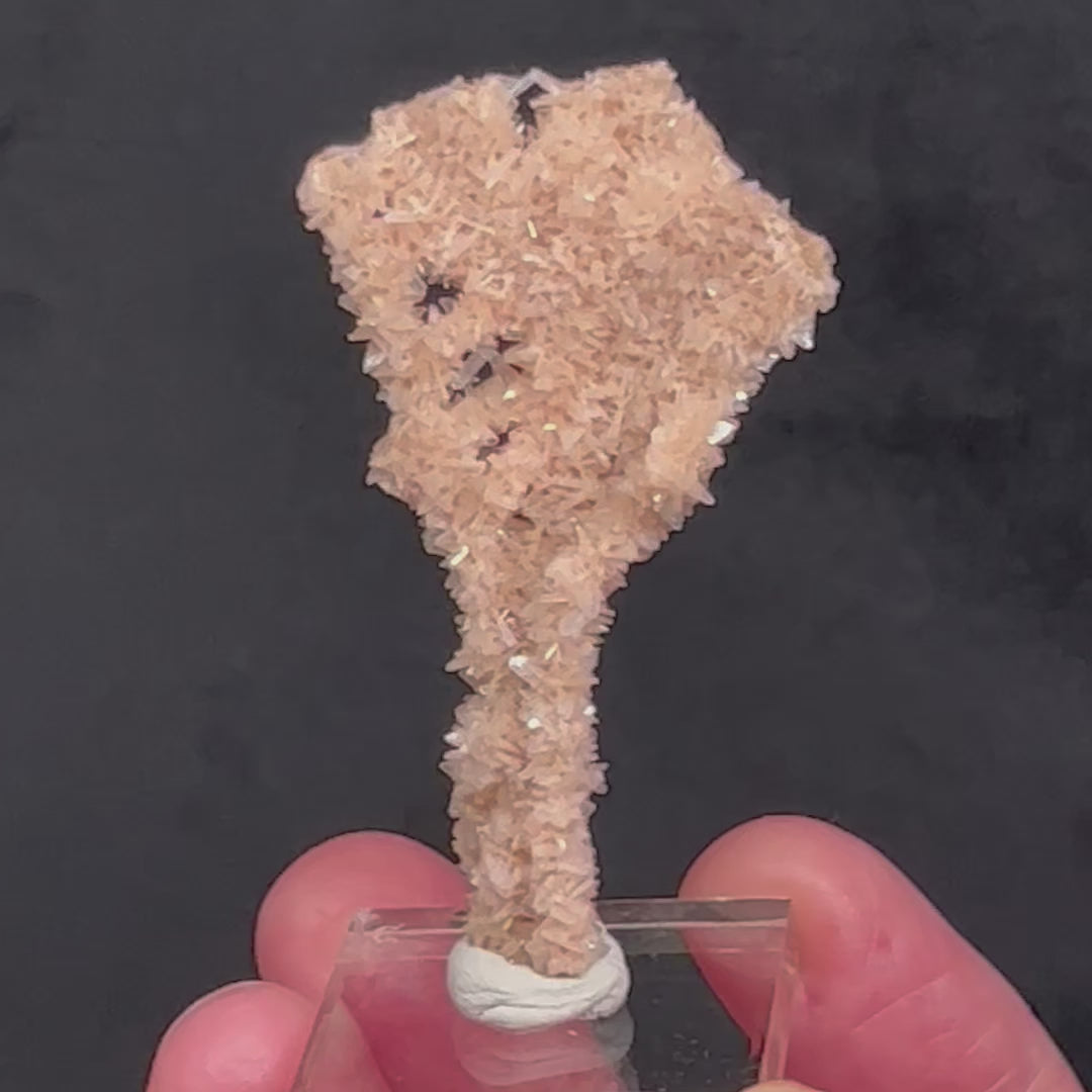 The rhombic, wedge shaped Heulandite and slender, tabular Stilbite are vitreous and present with a beautiful, sparkly, pearly luster. The source for this surprising and exceptional Heulandite and Stilbite Stalactite formation is Sakur, the Ahmednagar District, Nashik Division, Maharashtra, India.     