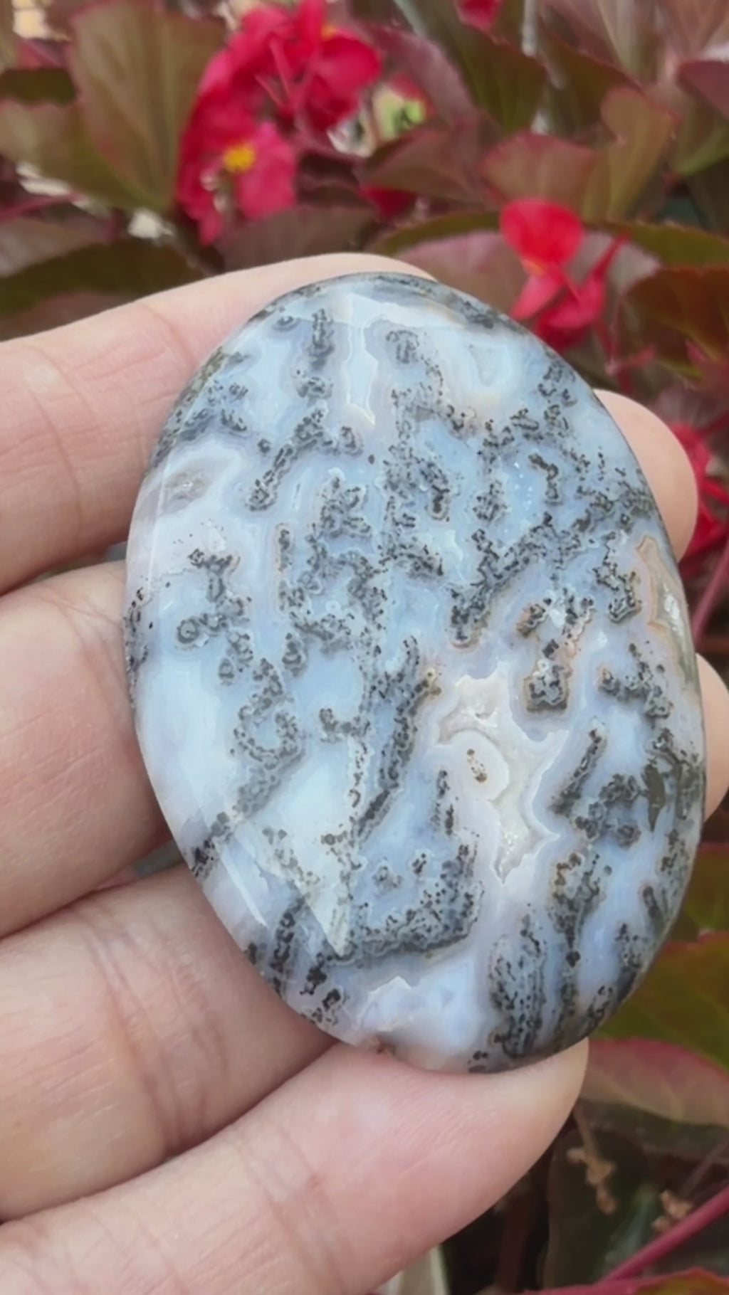 Rare-Black-Dendritic-Plume-Texas