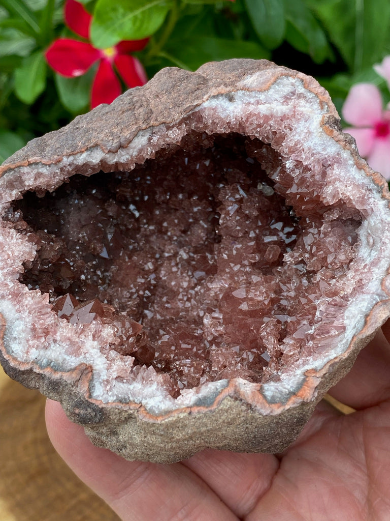 Superb features exhibited in this quality Pink Amethyst Crystals Geode include a tight rosette formation near the edge of the specimen and double-terminated crystals for an eye-popping display piece.
