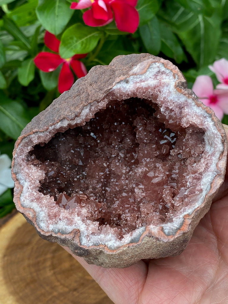 This Pink Amethyst Crystals Geode is a supreme collector specimen from Patagonia, Argentina!