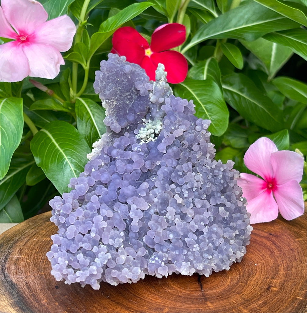 This is a fine example of a larger size cabinet specimen of Quartz var. Amethyst aka "Grape Agate", presenting with well formed botryoidal, spherical Amethyst on all sides. Source: Mamuju Regency, West Sulawesi Province, Indonesia. 