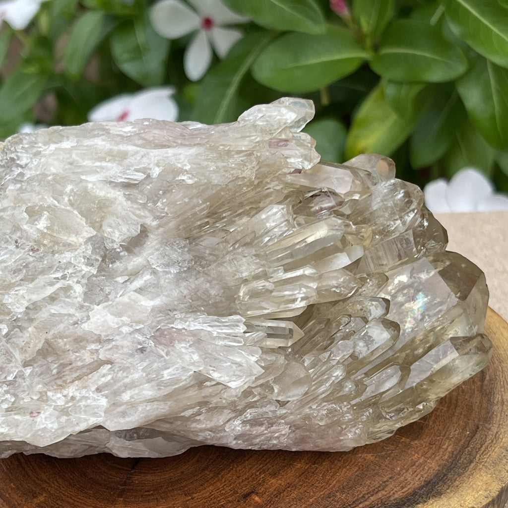 Congo Citrine 100% Natural | Larger 515g. | Authentic  Untreated Abundance Cluster | Kundalini Manifesting Crystal