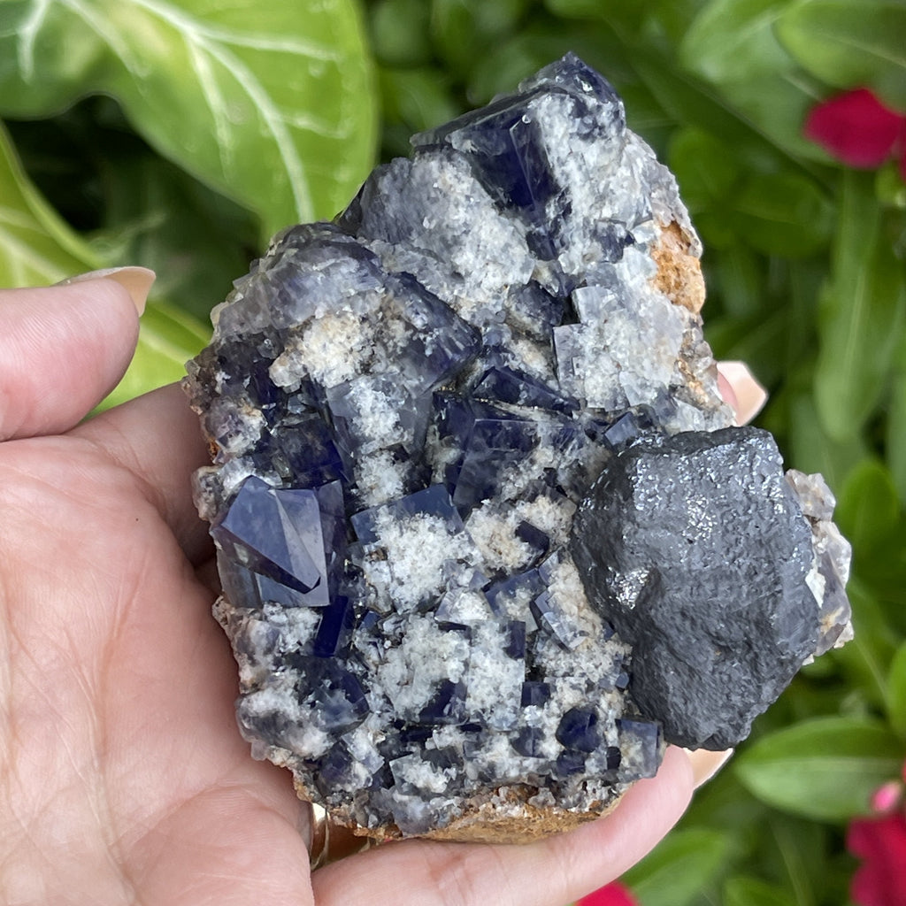 Fluorite Milky Way Pocket, Diana Maria Mine | with Galena Rare NEW Find Crystal Mineral