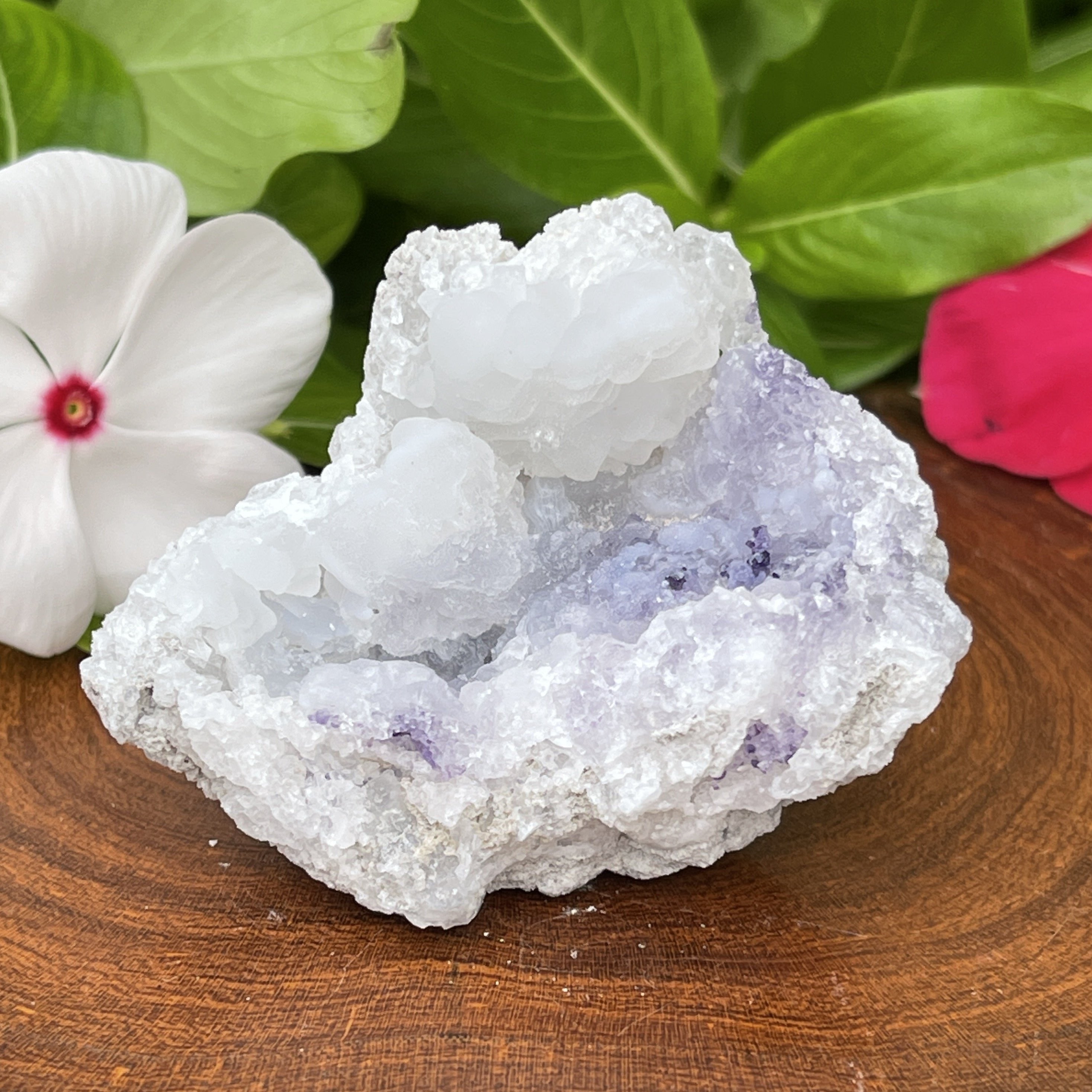 Spirit Flower Geode New Find 2021! |  Chalcedony & Druzy Quartz Fluorite