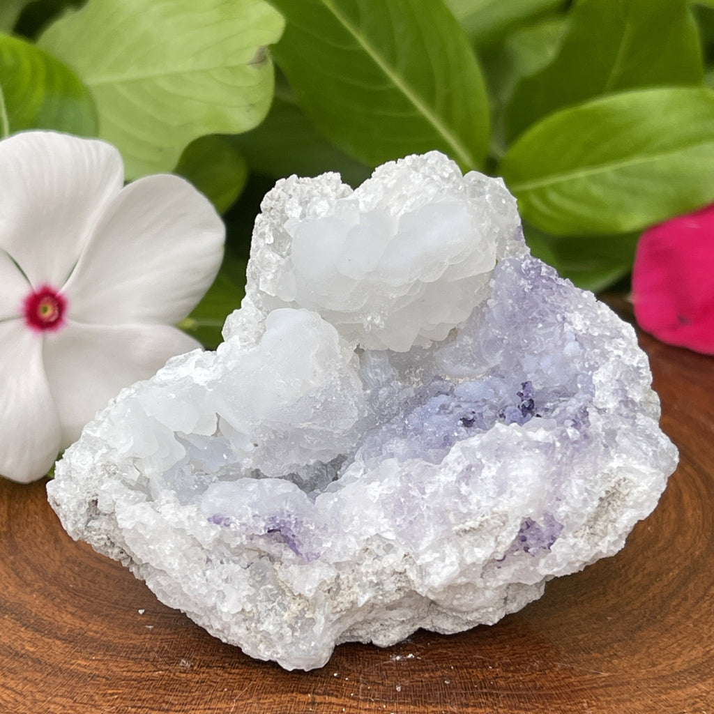 Spirit Flower Geode New Find 2021! |  Chalcedony & Druzy Quartz Fluorite