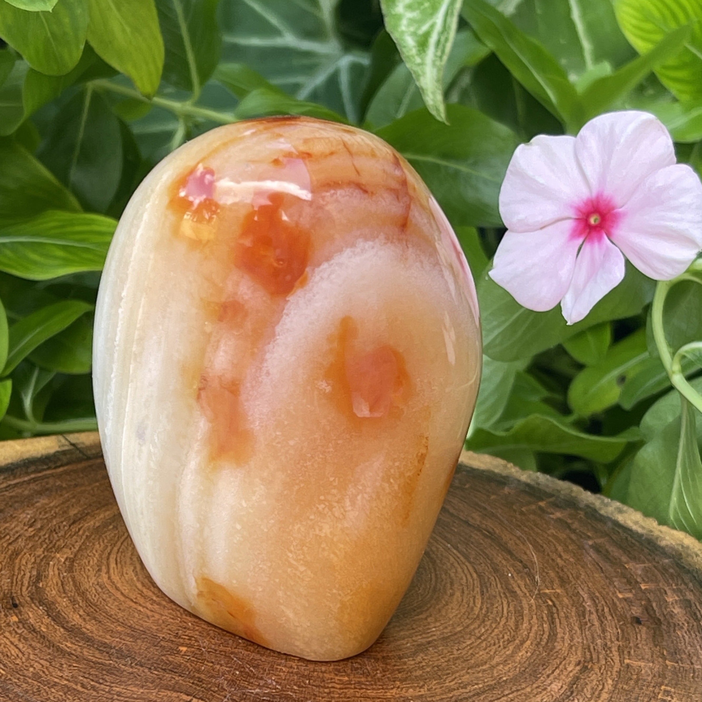 Carnelian-Crystal-CN14