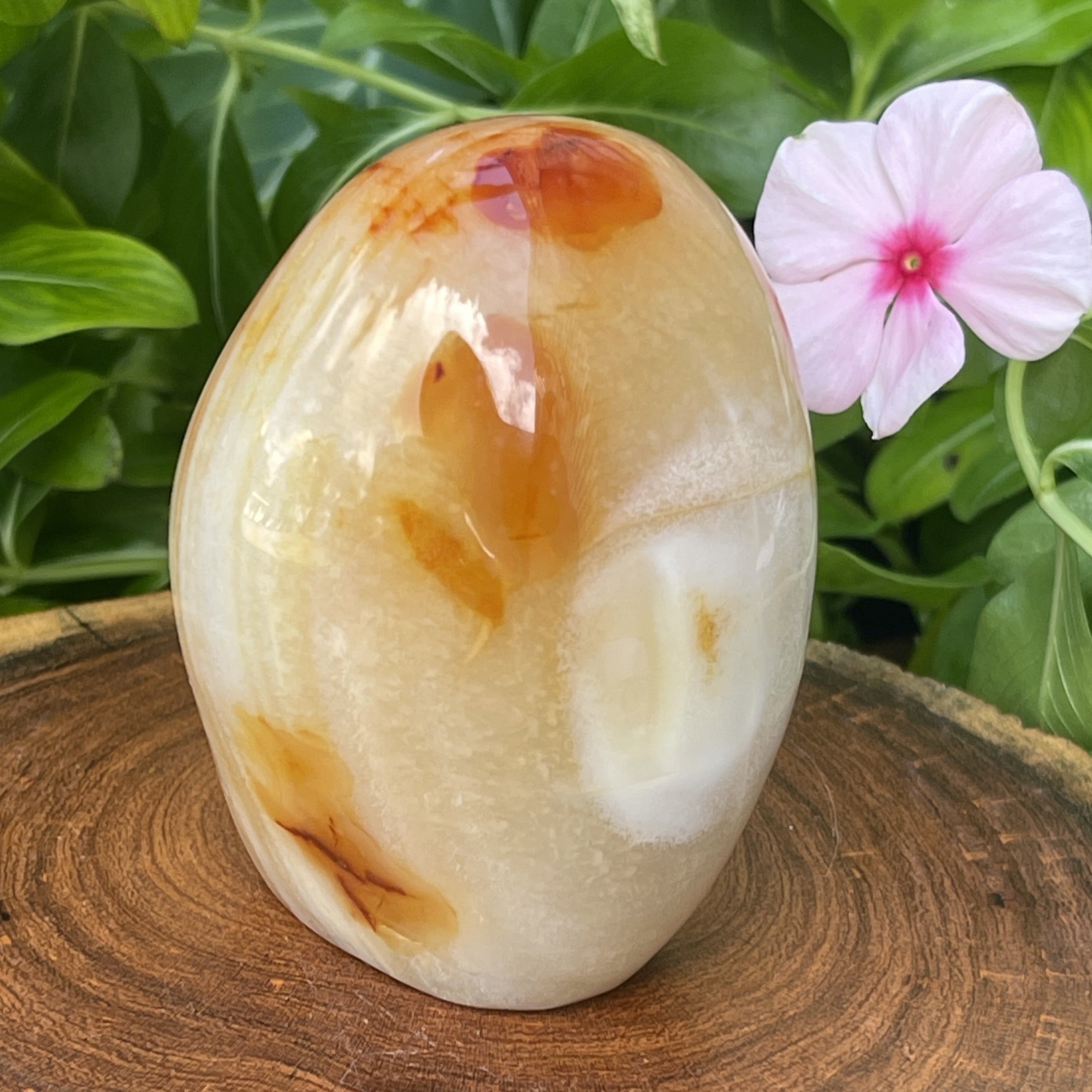Carnelian Crystal Standing 263grams