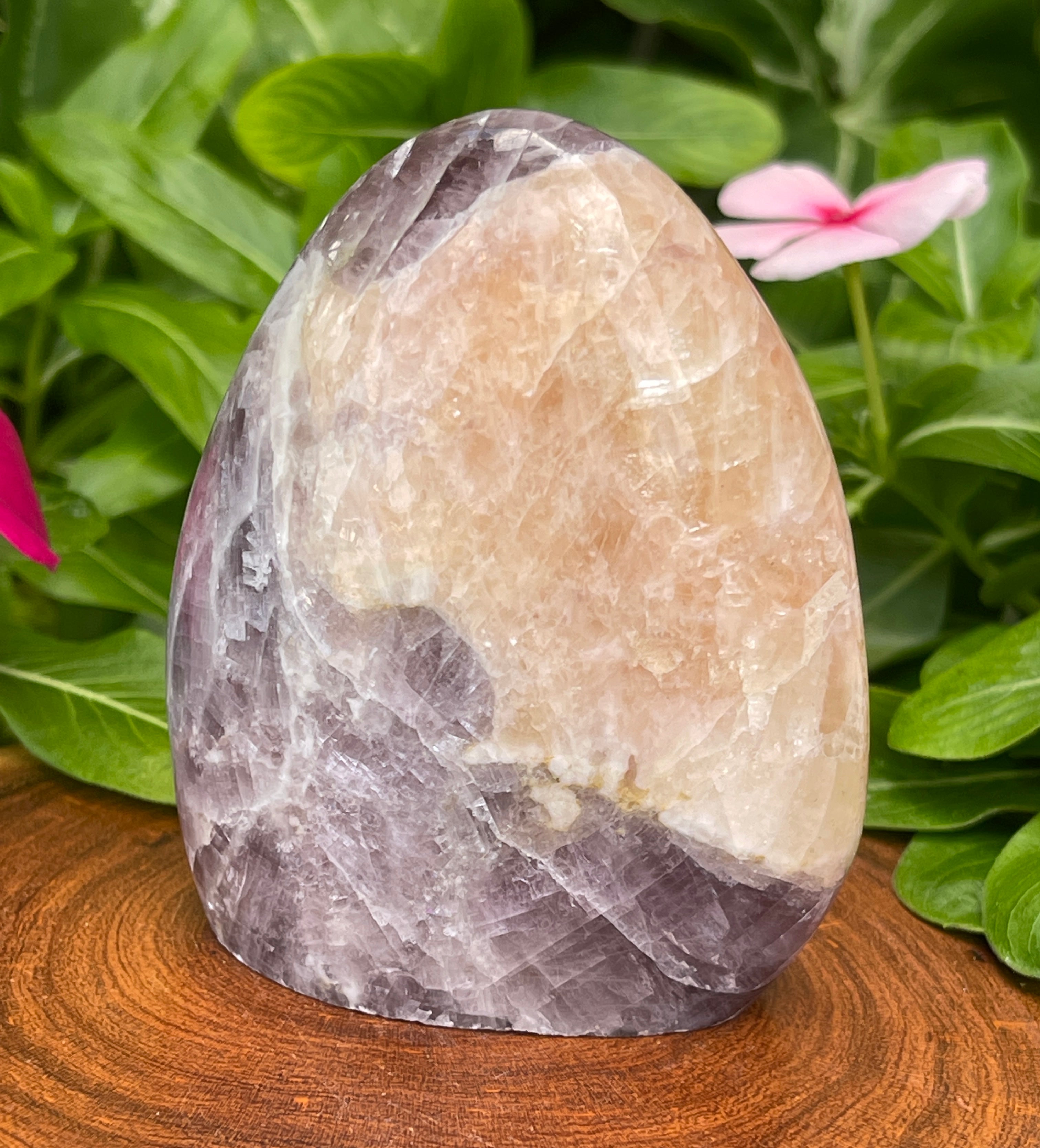 Purple Anhydrite Crystal Rare Purple / Violet Color 254g. | Ascension Stone