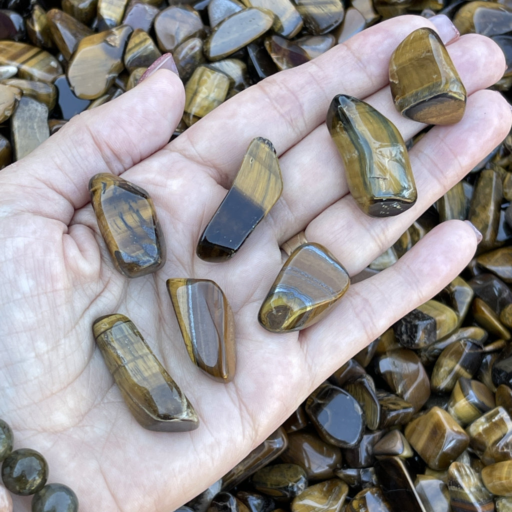 Tigers Eye tumbled small polished stone 7 pieces shown in hand.