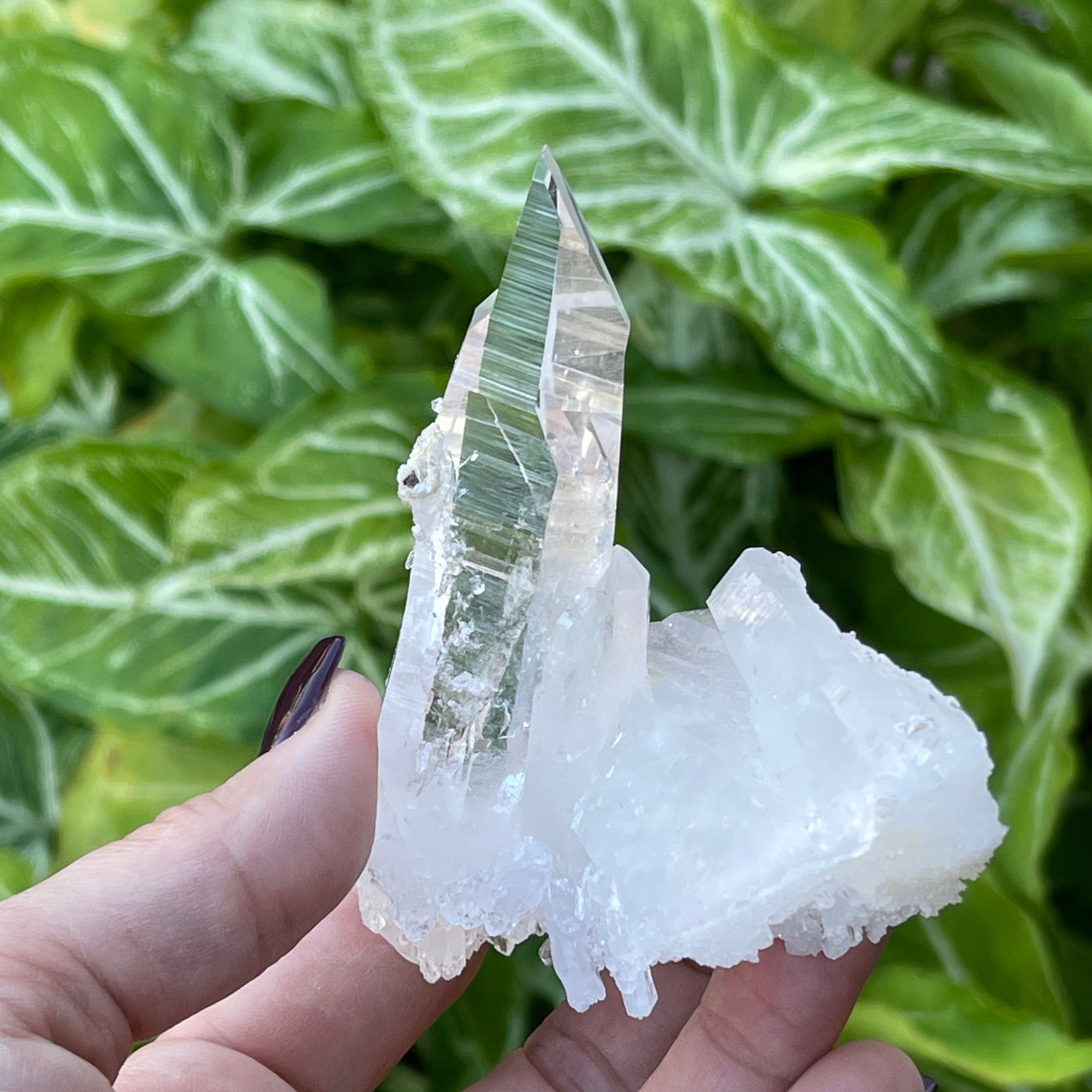 Colombian Quartz Pena Blanca 138gram | Water Clarity A+ Quality | Lemurian Cluster