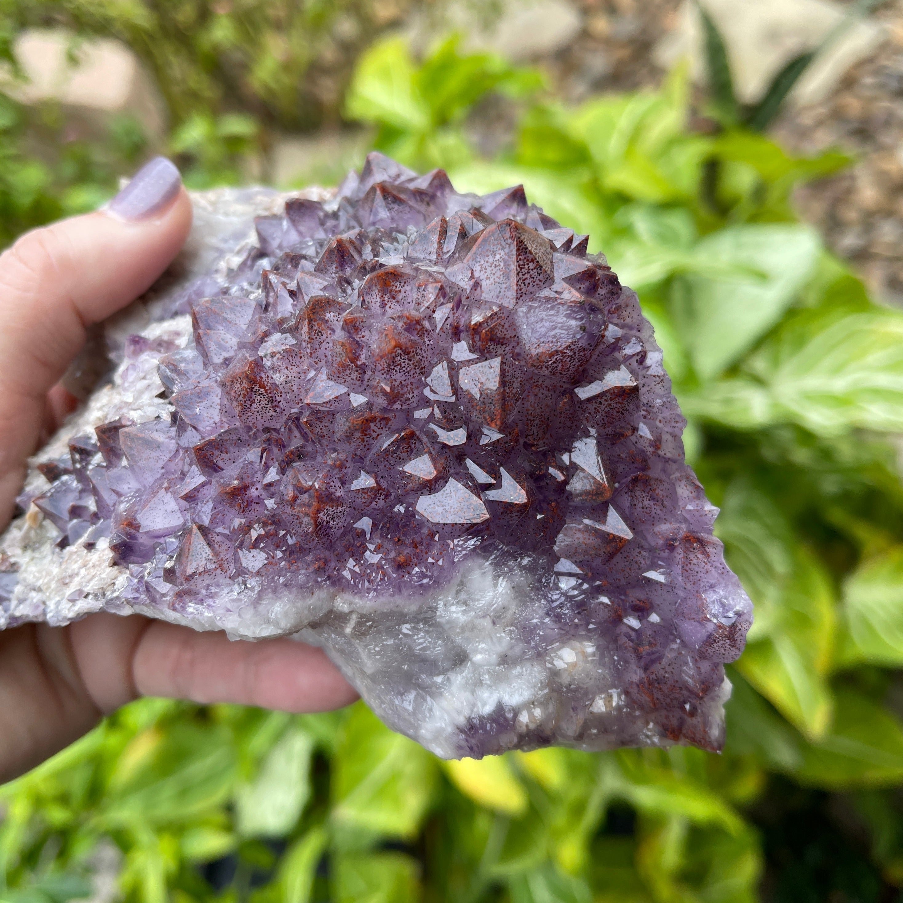 Beautiful Thunder Bay Amethyst with Hematite inclusion. From Moon Light Mine in Canada.
