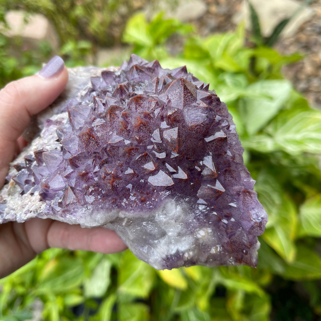 Beautiful Thunder Bay Amethyst with Hematite inclusion. From Moon Light Mine in Canada.