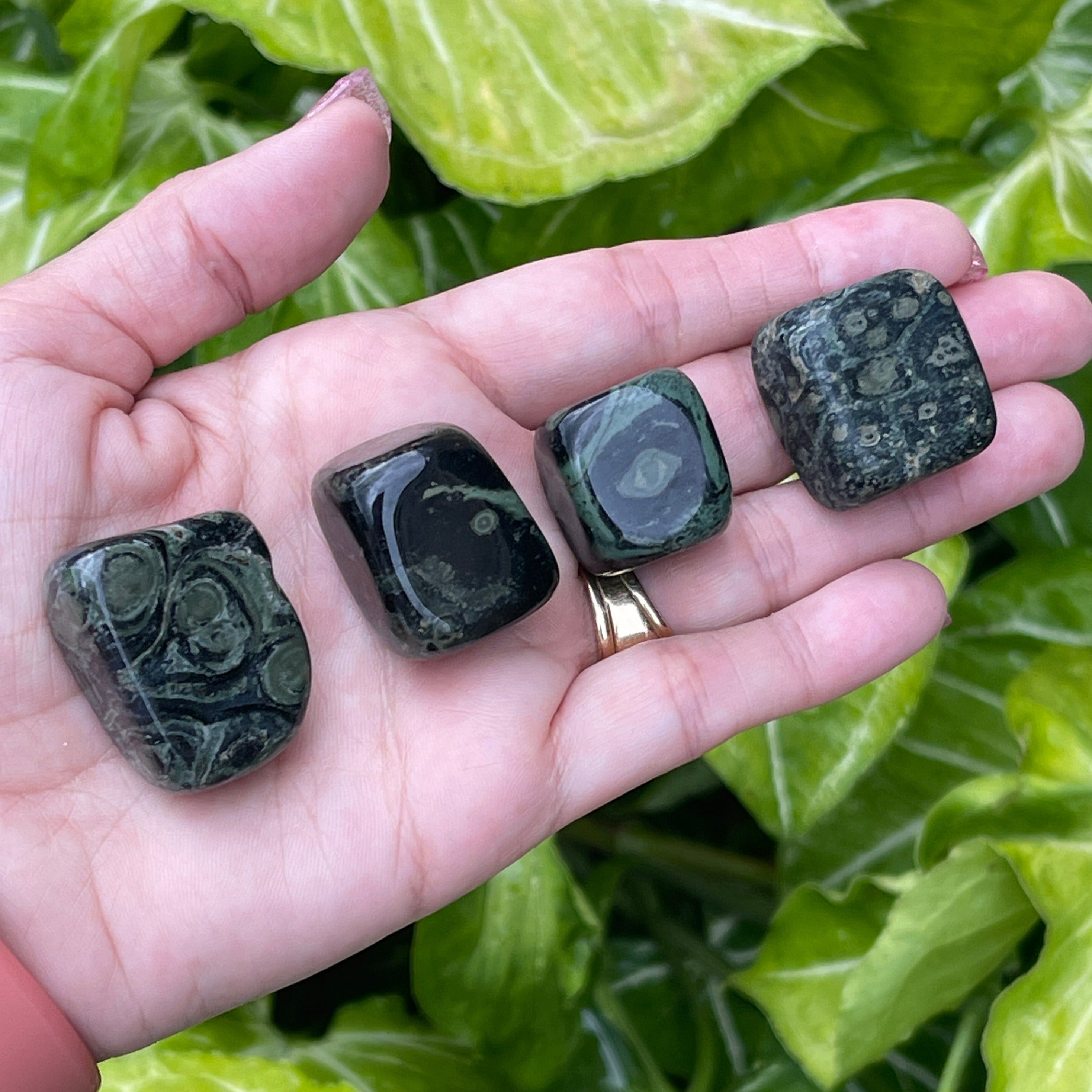 2 Kambaba Jasper Tumbled Stones