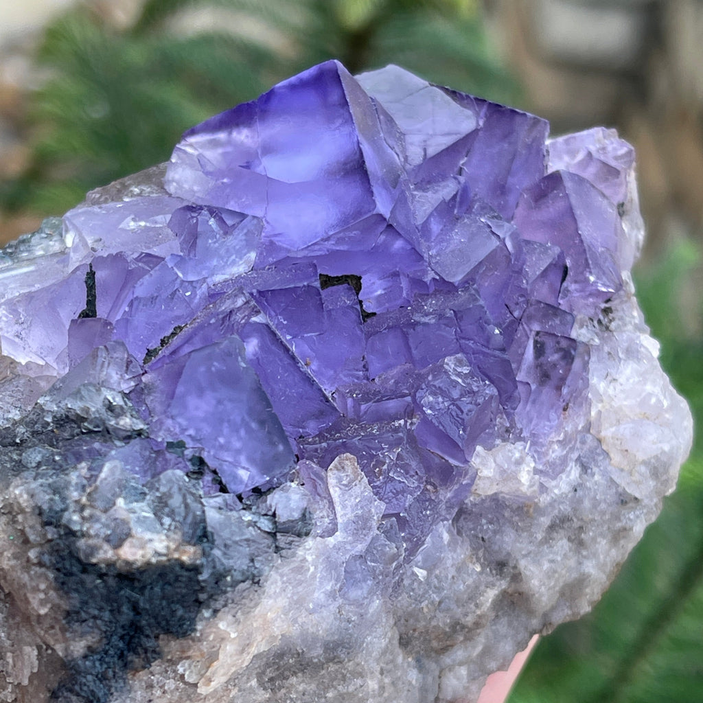 Fluorite Self-Standing Lustrous Crystals