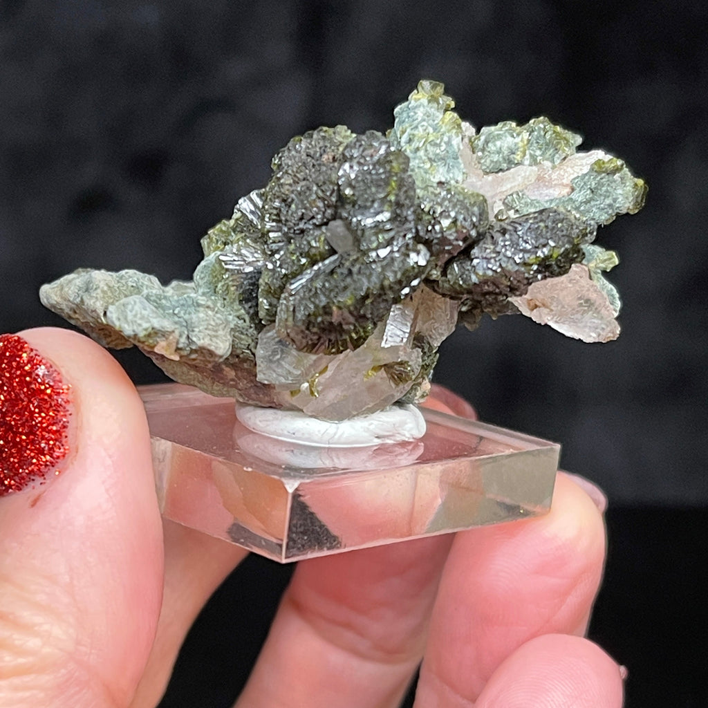 Epidote Crystals Lustrous Fan Bowtie Shaped on Quartz Khenifra Morocco 29g
