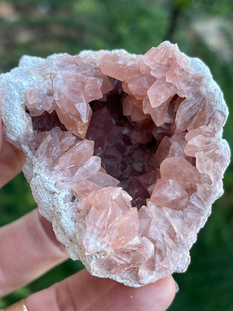 There are an abundance of crystals growing crowed in this beautiful Pink Amethyst geode. 
