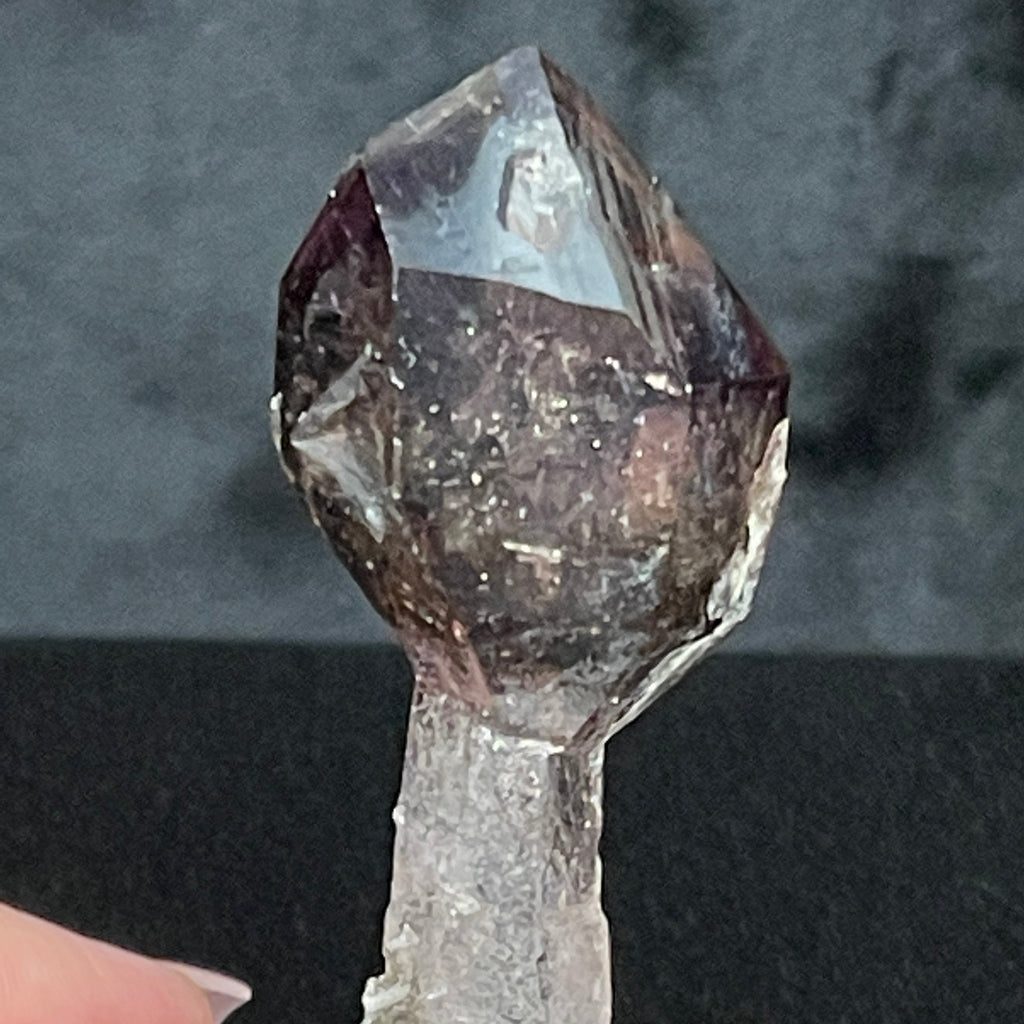 The facets and faces of the secondary growth crystal on this Smoky Quartz Scepter vary from slightly frosted looking to clear and lustrous, presenting with a beautiful shine. 