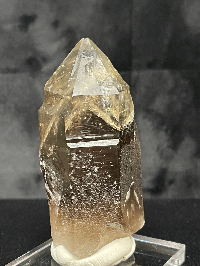 The facets and faces of the secondary growth crystal in this Smoky Quartz vary from slightly frosted to clear and lustrous, presenting with a nice shine. Zonation is primarily smoky root beer color in the lower, primary crystalline structure with water clarity in the secondary crystalline growth.